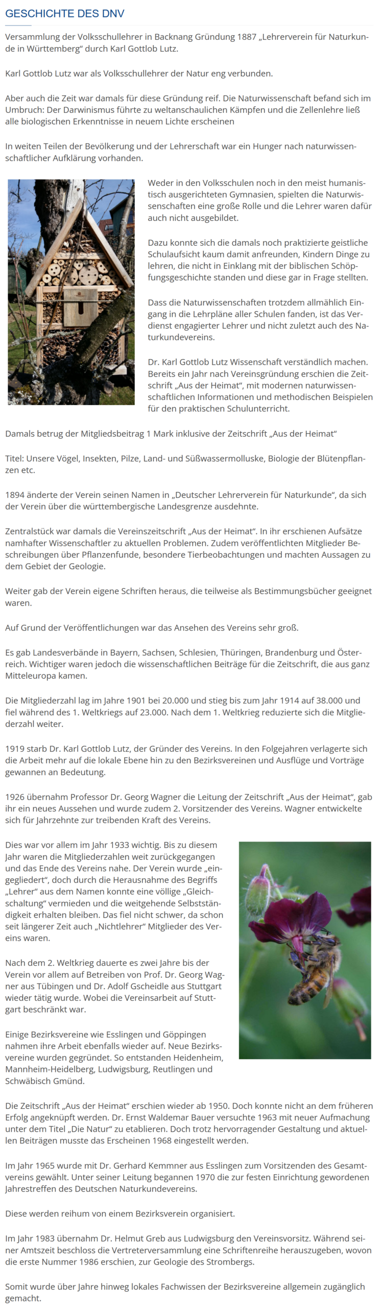 Screenshot Geschichte des DNV